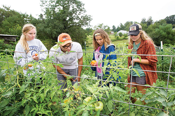 Spotlight on: Teaching and research farm